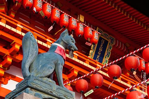 狐狸象徵什麼|稻荷狐狸：日本神社的可愛神獸，揭秘其象徵意義 